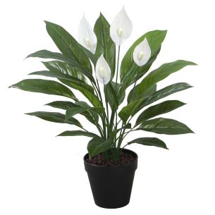 Kunsttaim Home4you WIND SPATHE H60cm