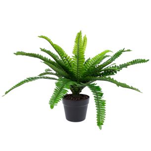 Kunsttaim Home4you BOSTON FERN H60cm