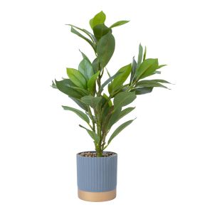 Kunsttaim Home4you GREENLAND H40cm, roheline leht