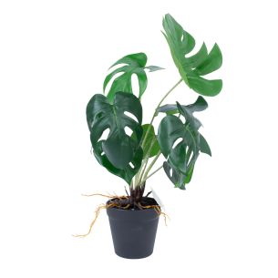 Kunsttaim Home4you GREENLAND H40cm, "Monstera"