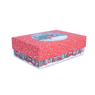 Karp Home4you NOEL 17x12cm, kaanega, mix