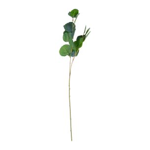 Kunsttaim Home4you GREENLAND H73cm, eukalüpt