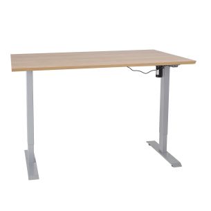 Töölaud Home4you ERGO 1 mootoriga 160x80cm, hikko