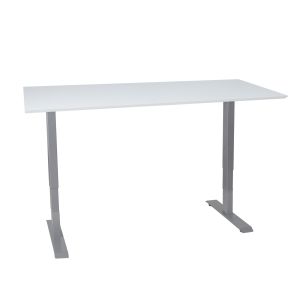 Töölaud Home4you ERGO 2 mootoriga 160x80cm, halli