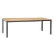 Home4you Laud MONTANA 220x100xH76cm tiik_01 - 13268 - 4741243132689 - BauMarket.ee