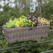 Home4you Rõdu lillekast WICKER 60x19xH18cm tumep_02 - 35162 - 4741243351622 - BauMarket.ee