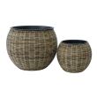 Home4you Lillepott WICKER D26xH22cm helepruun_03 - 38202 - 4741243382022 - BauMarket.ee