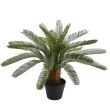 Home4you Kunsttaim WIND CYCAS H70cm_03 - 84691 - 4741243846913 - BauMarket.ee
