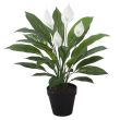 Home4you Kunsttaim WIND SPATHE H60cm_03 - 84693 - 4741243846937 - BauMarket.ee