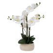Home4you Orhidee WIND IN GARDEN H55cm valge_01 - 87442 - 4741243874428 - BauMarket.ee