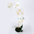 Home4you Orhidee WIND IN GARDEN H51cm valge_03 - 87865 - 4741243878655 - BauMarket.ee