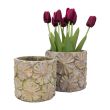 Home4you Lillepoti ümbris CHIARA D167xH147cm_03 - 88058 - 4741243880580 - BauMarket.ee