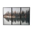 Home4you Seinapilt WALLY 30x60cm mets C_03 - 88741 - 4741243887411 - BauMarket.ee