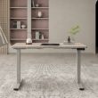 Home4you Töölaud ERGO OPTIMAL 2 mootoriga 140x80c_06 - K186972 - 4741617107558 - BauMarket.ee