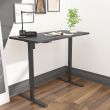 Home4you Töölaud ERGO OPTIMAL 1 mootoriga 120x60c_06 - K18702 - 4741617107589 - BauMarket.ee