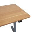 Home4you Töölaud ERGO LIGHT 1-mootoriga 120x60cm_04 - K18706 - 4741617108784 - BauMarket.ee