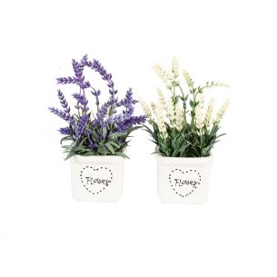 Roheline Home4you taim IN GARDEN, lavendel, mix