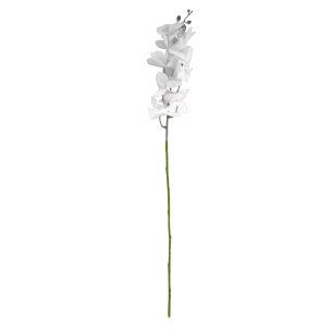 Orhidee Home4you FLOWERLY H94cm, valge